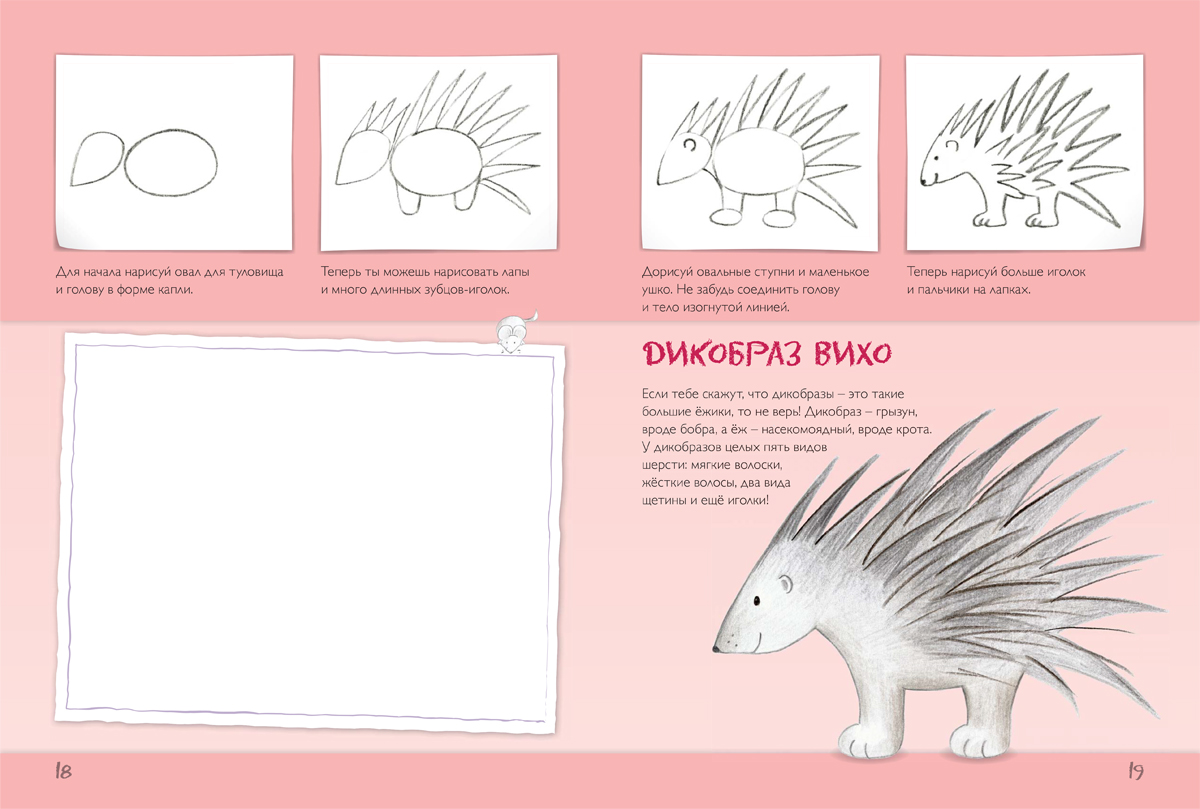 Дикобраз рисунок карандашом